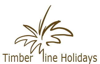 Timberline Holidays